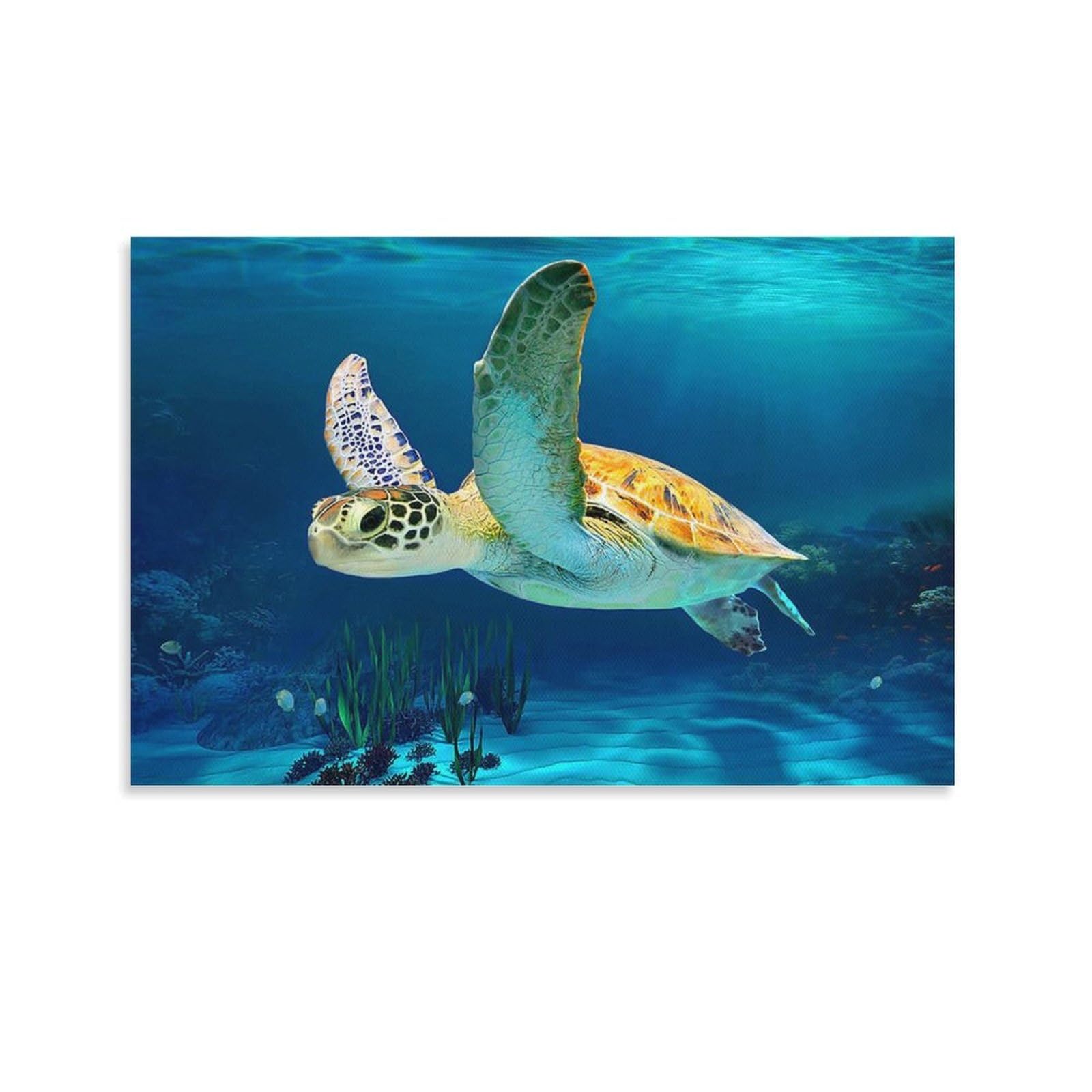 Amazon.co.jp: Sea Turtle Poster 海亀ポスター水中世界の深海生物海亀